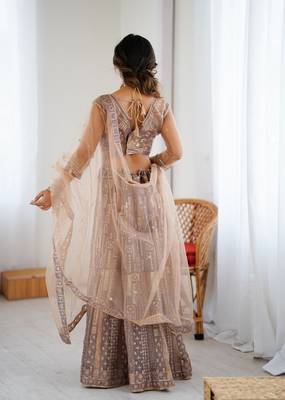 Chiku Color Embroidery Work And Sequins Work Butterfly Net Lehenga Choli 5