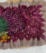 Wine Color Embroidered Sequins Chiffon Saree