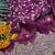 Wine Color Embroidered Sequins Chiffon Saree