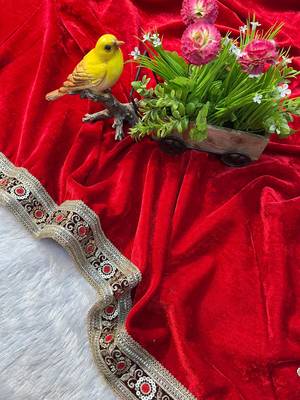 Red Color Bridal Velvet Saree 2