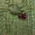 Green Color Sequence Embroidery Work Space Silk Saree