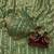 Green Color Sequence Embroidery Work Space Silk Saree
