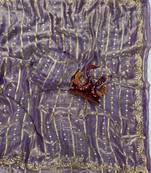 Lavender Color Sequence Embroidery Work Space Silk Saree