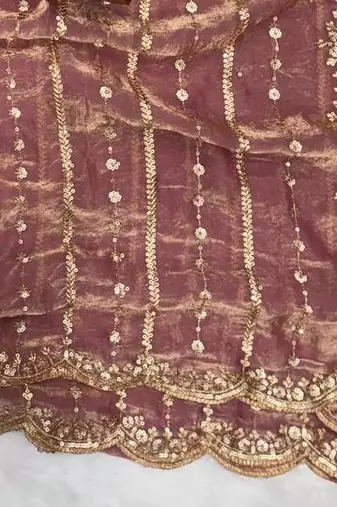 Onion Color Sequence Embroidery Work Space Silk Saree
