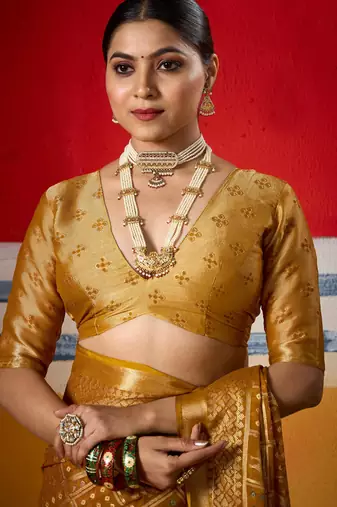 yellow brasso border work saree