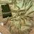 Olive Green Color Party  Dual Tone Satin Saree