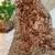 latest rust orange fendy silk embroidery saree for women ethnic wear