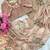 designer tabby silk based beige printed saree with hand work