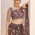 Dark Onion net fabric lehenga with sequin & thread work