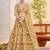 Light Golden net fabric lehenga with sequin & thread work