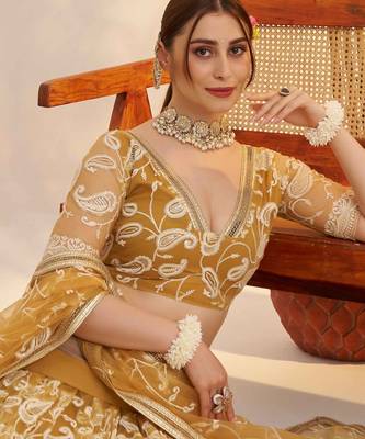 Light Golden net fabric lehenga with sequin & thread work 3