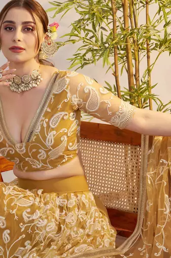 Light Golden net fabric lehenga with sequin & thread work