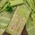 Women's green unstitched weaving embroidery & fancy border simmer jacquard dress material (rnx5050grn)