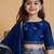 Blue printed chanderi lehenga