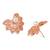 Rose  cubic zirconia and american diamond fashionable pearl look stud earrings for women (e3355rg)