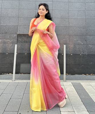 Multicolor organza saree 2