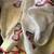 Handwoven white linen saree with embroidery work