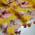 Digital printed  handloom linen saree