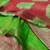 Digital printed  handloom linen saree