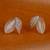 Embedded circle swan silver plated combo set of 2 stud earring for women