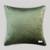 Green Mayur Jaal Embroidered Cushion Cover 18x18