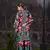 Black Pink Printed Turkish Modal Satin Silk Co-Ord Set