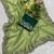 Green Color Fancy Fendy Satin Fabric Saree
