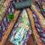 Multi muslin cotton printed dress material with dupatta