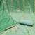 Light green viscose fendy sattin sequins dress material with dupatta