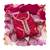 Pink jam cotton handwork dress material with dupatta