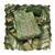 Light green banarasi cotton weaving dress material with dupatta