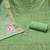 Light green glass organza embroidery dress material with dupatta