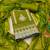 Green premium roman cotton embroidery dress material with dupatta