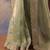  Soft Jimmychoo silk blend with Beautiful sequins embroidery Saree With Blouse Set