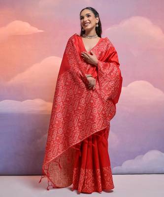 red handloom raw silk weaving designer saree with blouse 2
