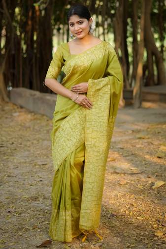 mehendi handloom raw silk weaving designer saree with blouse