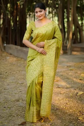 mehendi handloom raw silk weaving designer saree with blouse