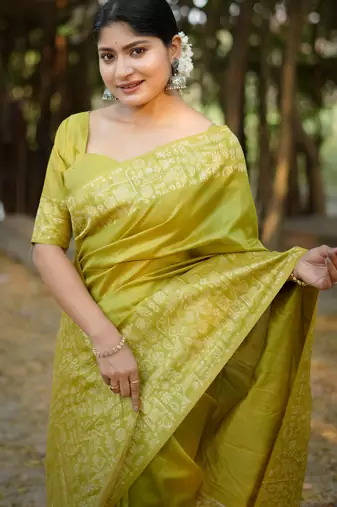 mehendi handloom raw silk weaving designer saree with blouse