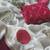  White satin georgate sarees with mapple mottifs embroidory all over saree with lace