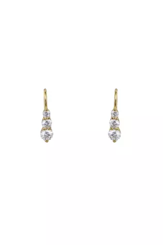 Gold plated earrings in sterling silver