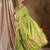 refreshing pista green banarasi art silk saree with weaving work 