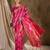 gorgeous pink banarasi art silk saree with alluring weaving art 
