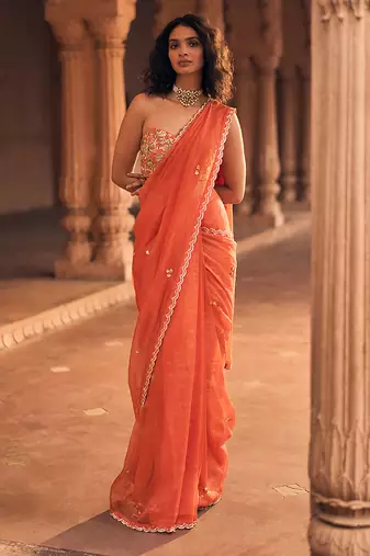 Orange hand embroidered banarasi saree