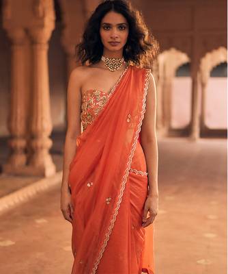 Orange hand embroidered banarasi saree 3