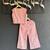 Pink embroidered cotton co ord set