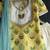 Yellow printed cotton silk kurta set