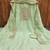 Elegant green embroidered suit – perfect for festive & wedding occasions