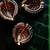 The handicraftian peepal diya set of 12