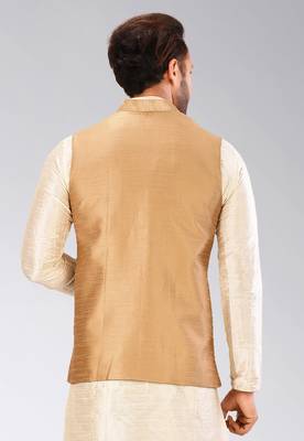 Beige dupon art silk nehru jacket with pipepin work 4