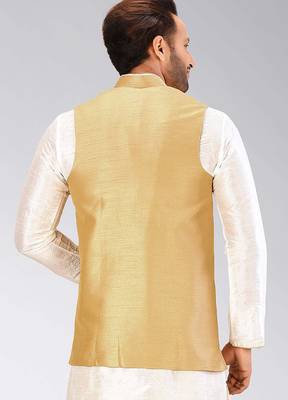 Beige dupon art silk nehru jacket with pipepin work 4